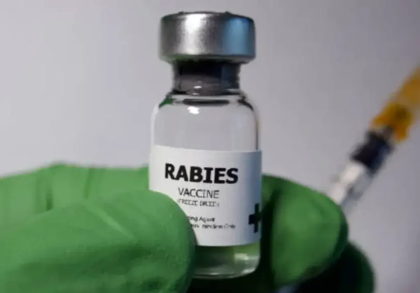 Rabies & Tetanus Vaccine