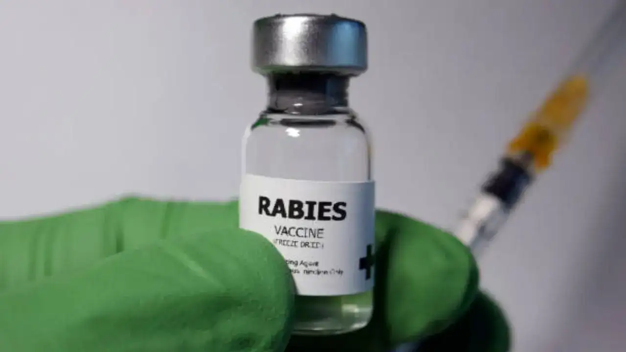Rabies & Tetanus Vaccine